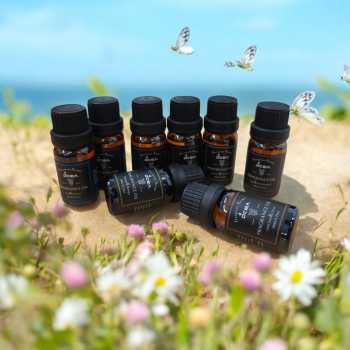 Gambar produk Taffware HUMI Minyak Aromatherapy 8in1 Essential Oil 10ml - RH-28