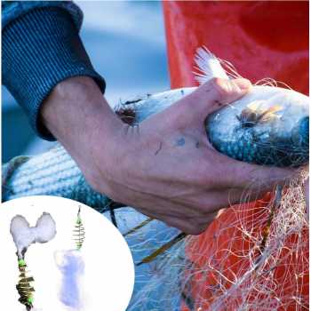 BOM NET Jaring Pancing Umpan Ikan Fishing Net Trap Cage Tackle - 3918