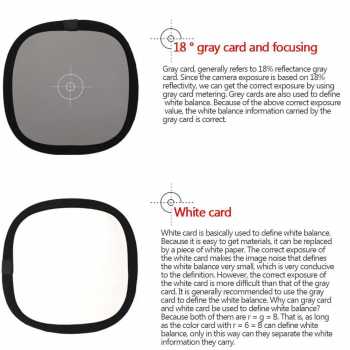 Gambar produk Fotodiox Focusing Plate Grey Card 18 Percent Photography 2in1 30cm - FT-18