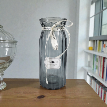 BOLITE Vas Bunga Kaca Estetik Nordic Ribbon Flower Vase - BT-65