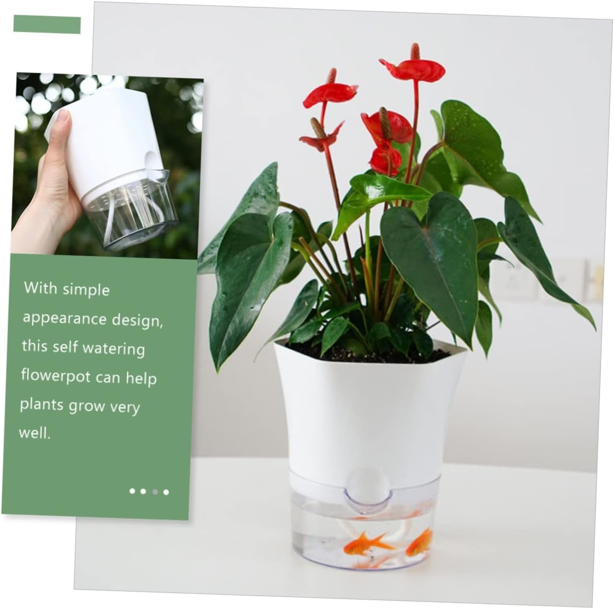 Olize Pot Tanaman Otomatis Self Watering Slim Transparant Home Garden - A709 Gambar produk Olize Pot Tanaman Otomatis Self Watering Slim Transparant Home Garden - A709