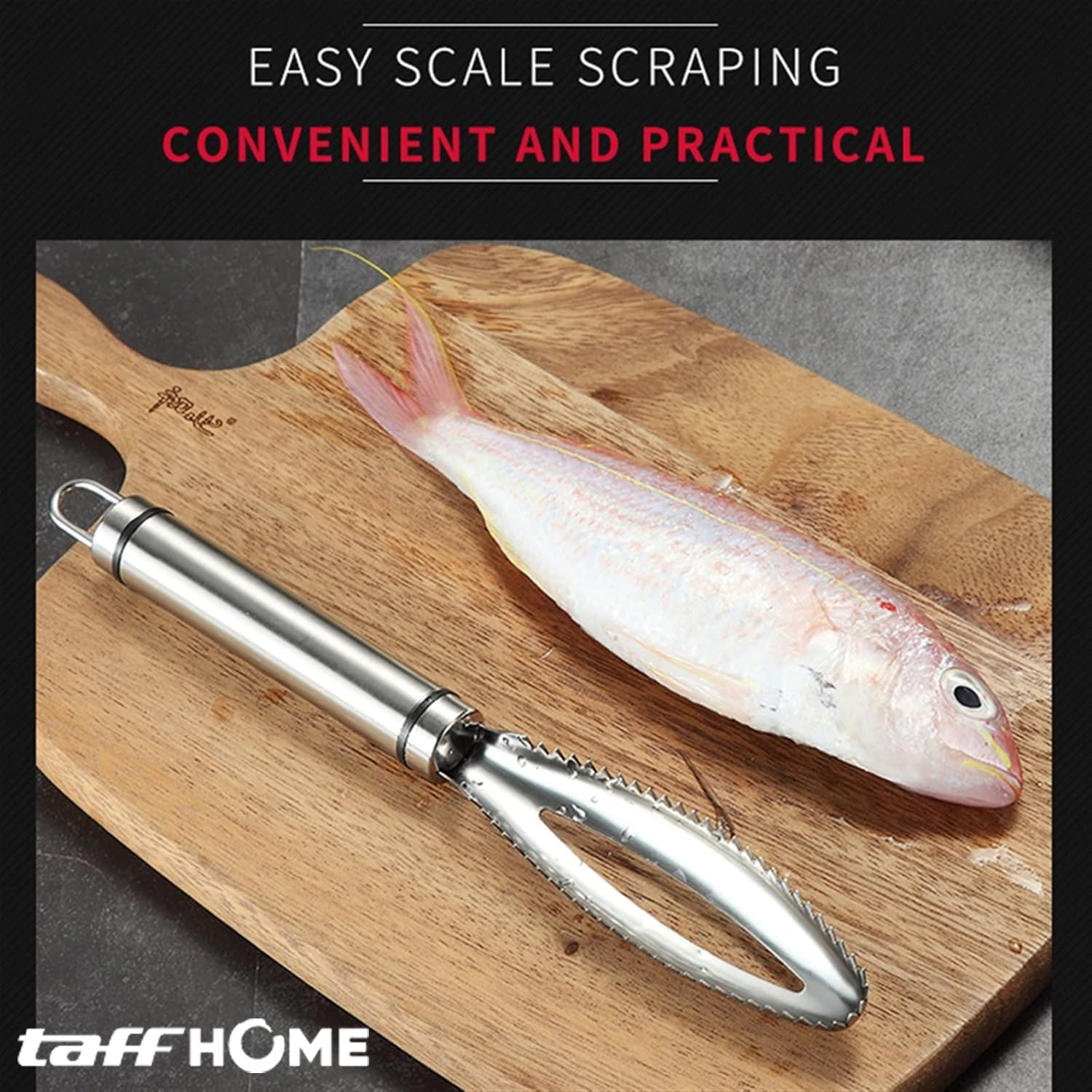 TaffHOME Pengupas Sisik Ikan Fish Scales Scraper Stainless Steel - FKW24 Gambar produk TaffHOME Pengupas Sisik Ikan Fish Scales Scraper Stainless Steel - FKW24