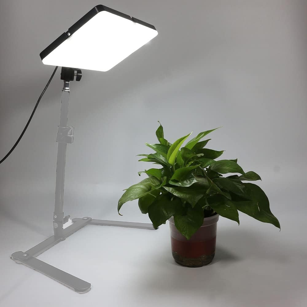 BEDIRO Lampu Video LED 11 Inch Live Broadcast Fill Light USB 3 Color - BD-P11 Gambar produk BEDIRO Lampu Video LED 11 Inch Live Broadcast Fill Light USB 3 Color - BD-P11