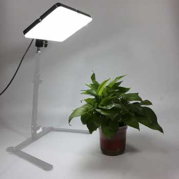 BEDIRO Lampu Video LED 11 Inch Live Broadcast Fill Light USB 3 Color - BD-P11