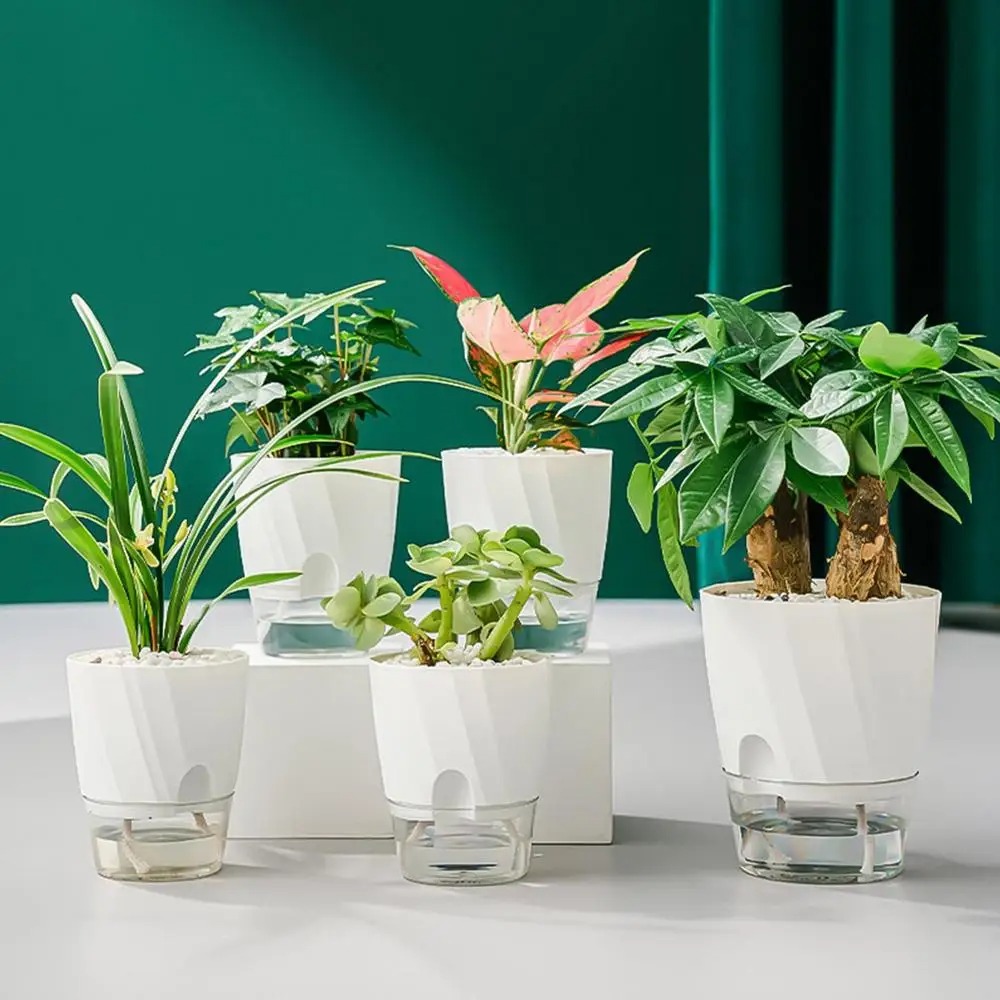 Olize Pot Tanaman Otomatis Self Watering Slim Transparant Home Garden - A709 Gambar produk Olize Pot Tanaman Otomatis Self Watering Slim Transparant Home Garden - A709