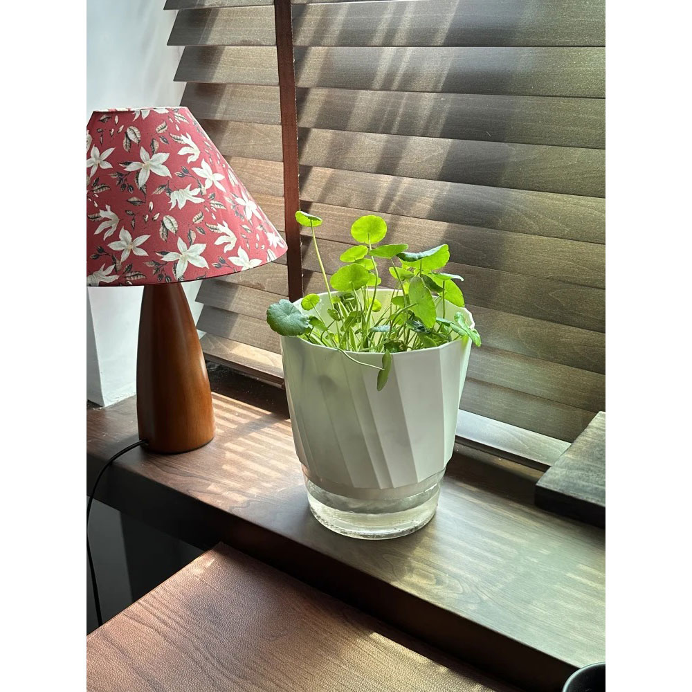 Olize Pot Tanaman Otomatis Self Watering Slim Transparant Home Garden - A709 Gambar produk Olize Pot Tanaman Otomatis Self Watering Slim Transparant Home Garden - A709