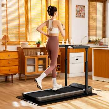 Kingsmith WalkingPad Alat Fitness Treadmill Home Gym Foldable 1 HP - Z3 Hybrid+