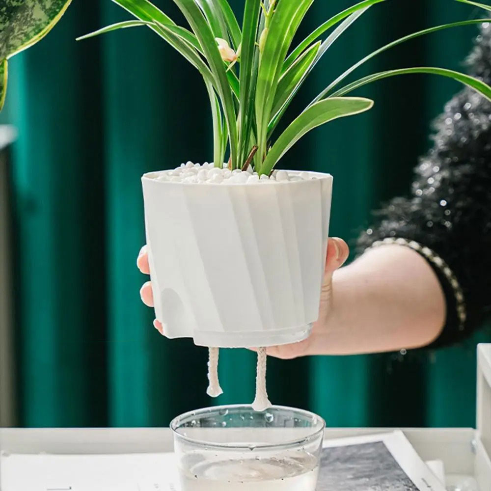 Olize Pot Tanaman Otomatis Self Watering Slim Transparant Home Garden - A709 Gambar produk Olize Pot Tanaman Otomatis Self Watering Slim Transparant Home Garden - A709