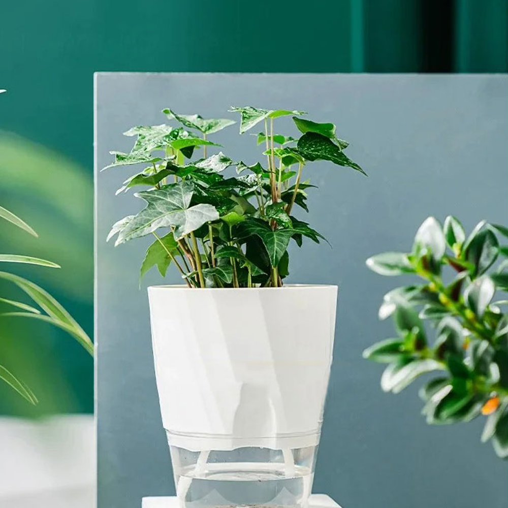 Olize Pot Tanaman Otomatis Self Watering Slim Transparant Home Garden - A709 Gambar produk Olize Pot Tanaman Otomatis Self Watering Slim Transparant Home Garden - A709