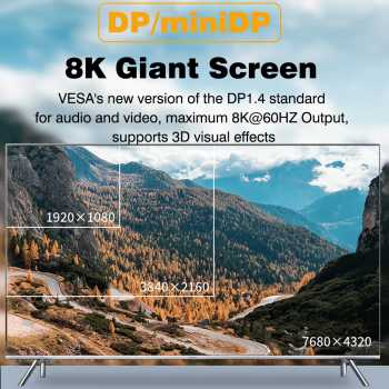 Gambar produk DZST OTG Adapter DP to Type C Display Port Female to Type C Male - D080