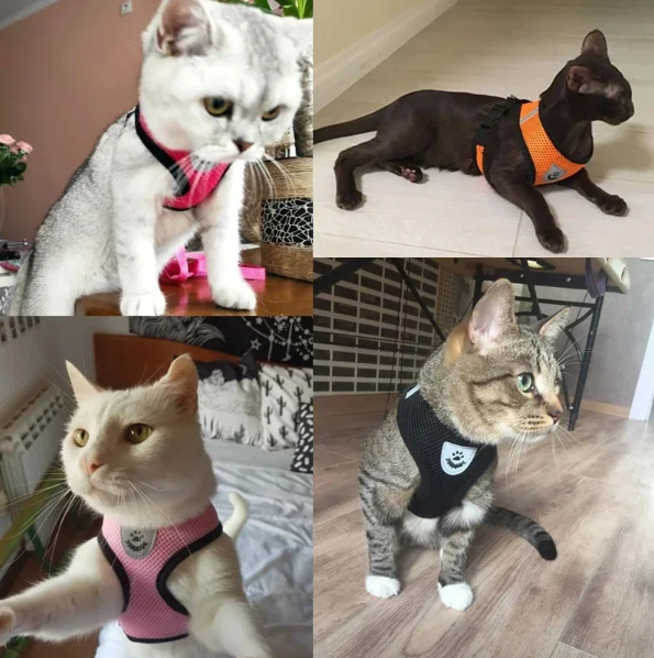 MOGPET Harness Kucing Rompi Vest Breathable Adjustable Cat Dog Harness - RP20 Gambar produk MOGPET Harness Kucing Rompi Vest Breathable Adjustable Cat Dog Harness - RP20
