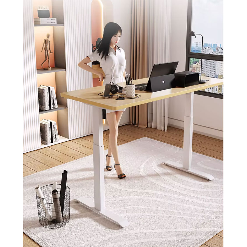TaffHOME Meja Kerja Gaming Elektrik Adjustable Lifting Desk 120x60cm - FH-5 Gambar produk TaffHOME Meja Kerja Gaming Elektrik Adjustable Lifting Desk 120x60cm - FH-5