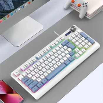 Y-FRUITFUL Keyboard Gaming RGB Mechanical Feel 93 Key USB Wired - G125