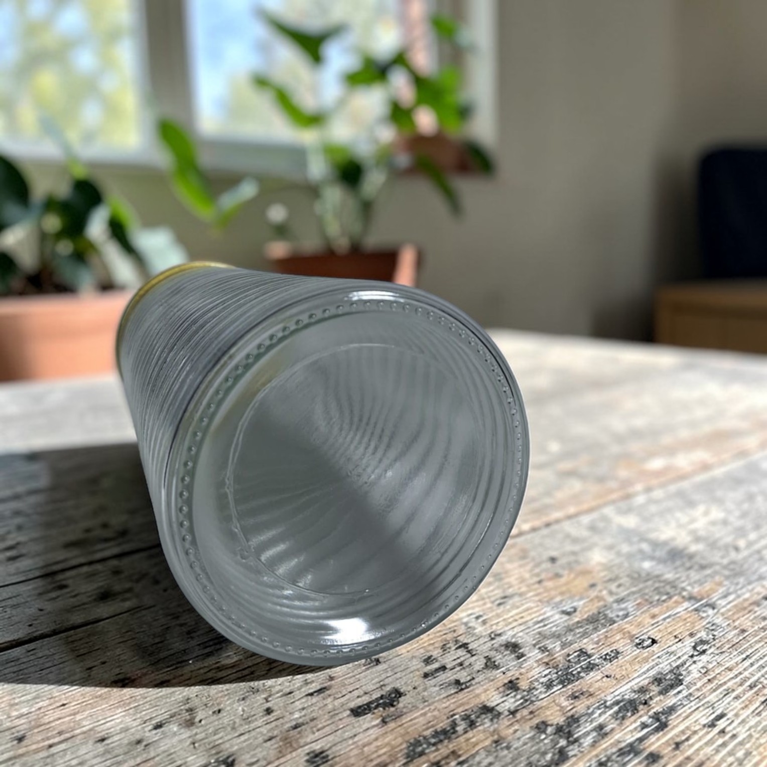 TaffHOME Vas Bunga Kaca Silinder Corrugated Nordic Simple Glass Vase - QT072 Gambar produk TaffHOME Vas Bunga Kaca Silinder Corrugated Nordic Simple Glass Vase - QT072