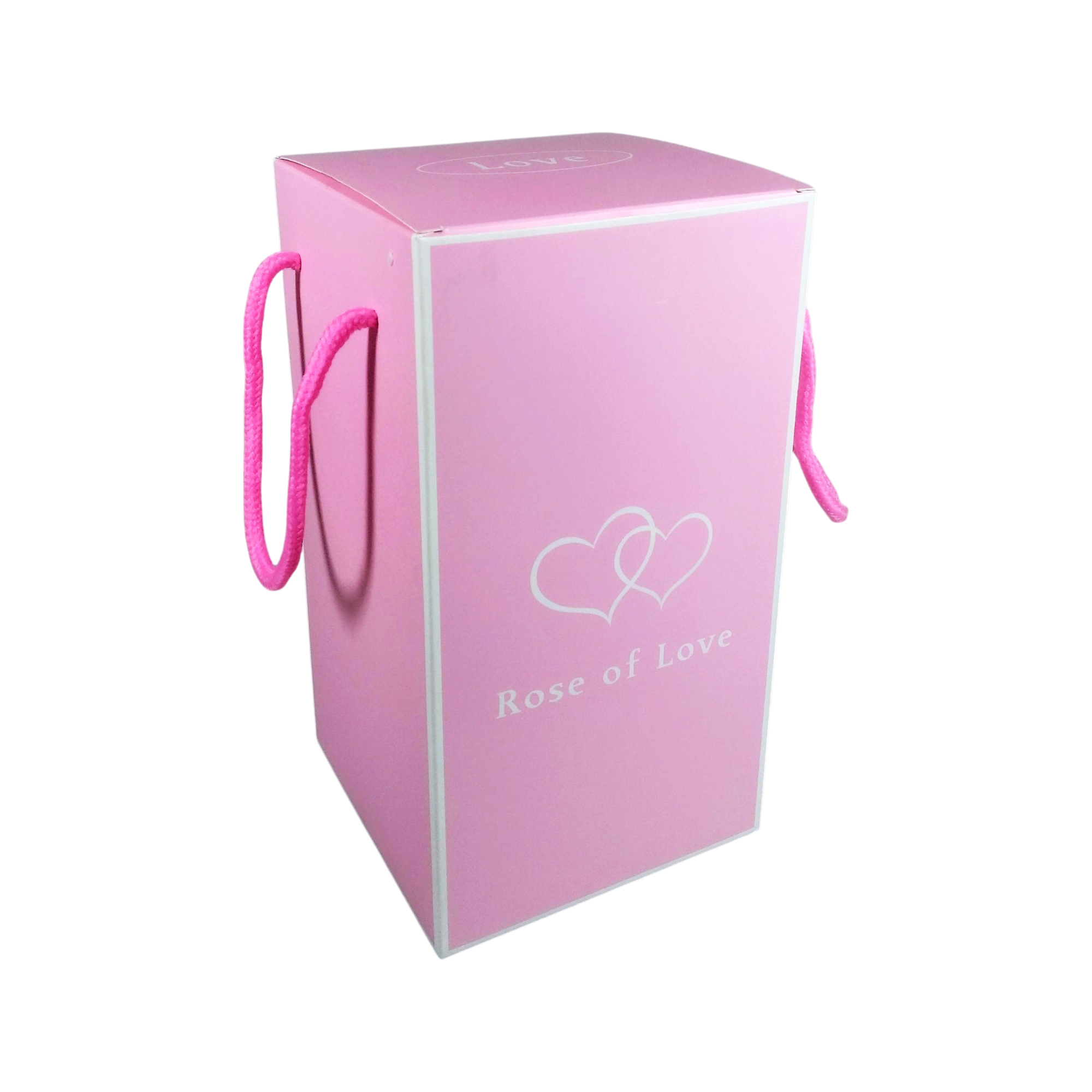 TaffHOME Lampu Meja Hias LED Mawar Galaksi Multicolor Lampu Tidur - SR142 Gambar produk TaffHOME Lampu Meja Hias LED Mawar Galaksi Multicolor Lampu Tidur - SR142