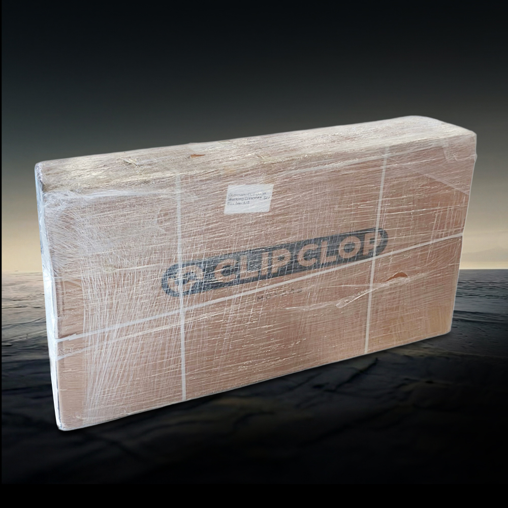 Gambar produk ClipClop Sepeda Listrik Fat Bike 20 Inch Brushless Motor 18.2Ah 750W - L2