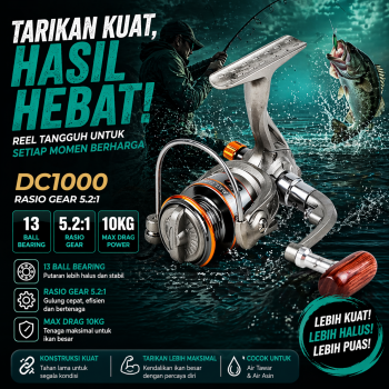 DiaoDeLai Reel Pancing Spinning 13 Ball Bearing Fishing Reel 5.2:1 - DC1000