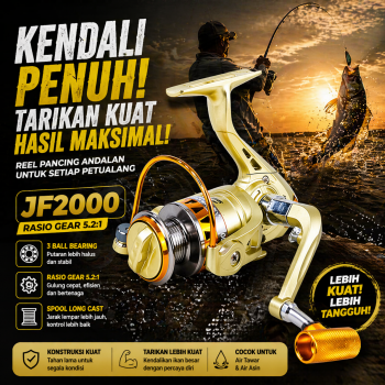 YUMOSHI Reel Pancing Spinning 14 Ball Bearing Fishing Reel 5.2:1 2000 - JF2000