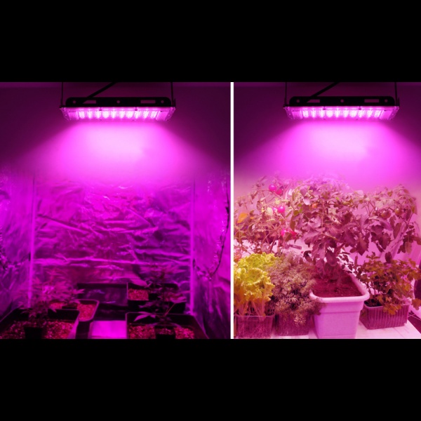 GI Grow Light LED Hidroponik Full Spectrum SMD 96 LED 220V 100W IP65 - RO24 Gambar produk GI Grow Light LED Hidroponik Full Spectrum SMD 96 LED 220V 100W IP65 - RO24