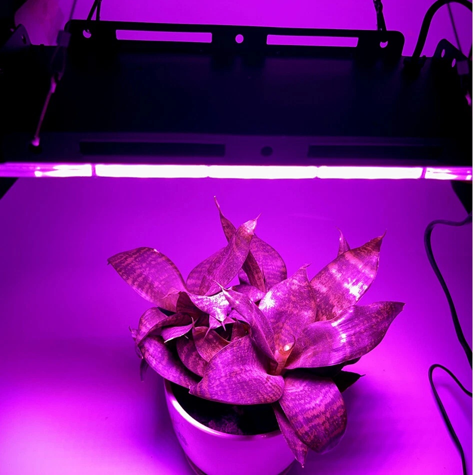 GI Grow Light LED Hidroponik Full Spectrum SMD 96 LED 220V 100W IP65 - RO24 Gambar produk GI Grow Light LED Hidroponik Full Spectrum SMD 96 LED 220V 100W IP65 - RO24