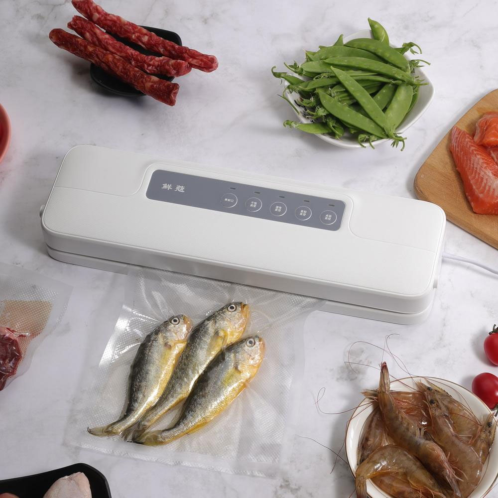 XinBao Alat Vakum Makanan Vacuum Sealer Packaging Machine 60kPa 110W - QH-56 Gambar produk XinBao Alat Vakum Makanan Vacuum Sealer Packaging Machine 60kPa 110W - QH-56 - 6