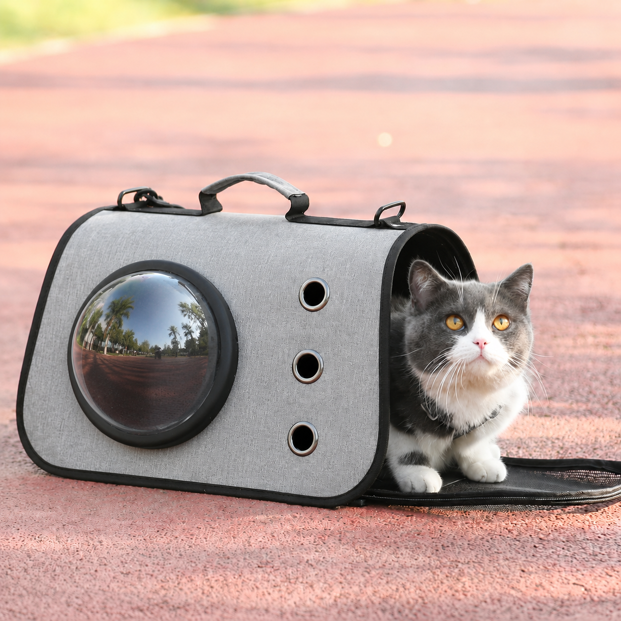 HABEI Tas Kucing Anjing Portable Breathable Linen Pet Carrier - HT-50 Gambar produk HABEI Tas Kucing Anjing Portable Breathable Linen Pet Carrier - HT-50 - 1