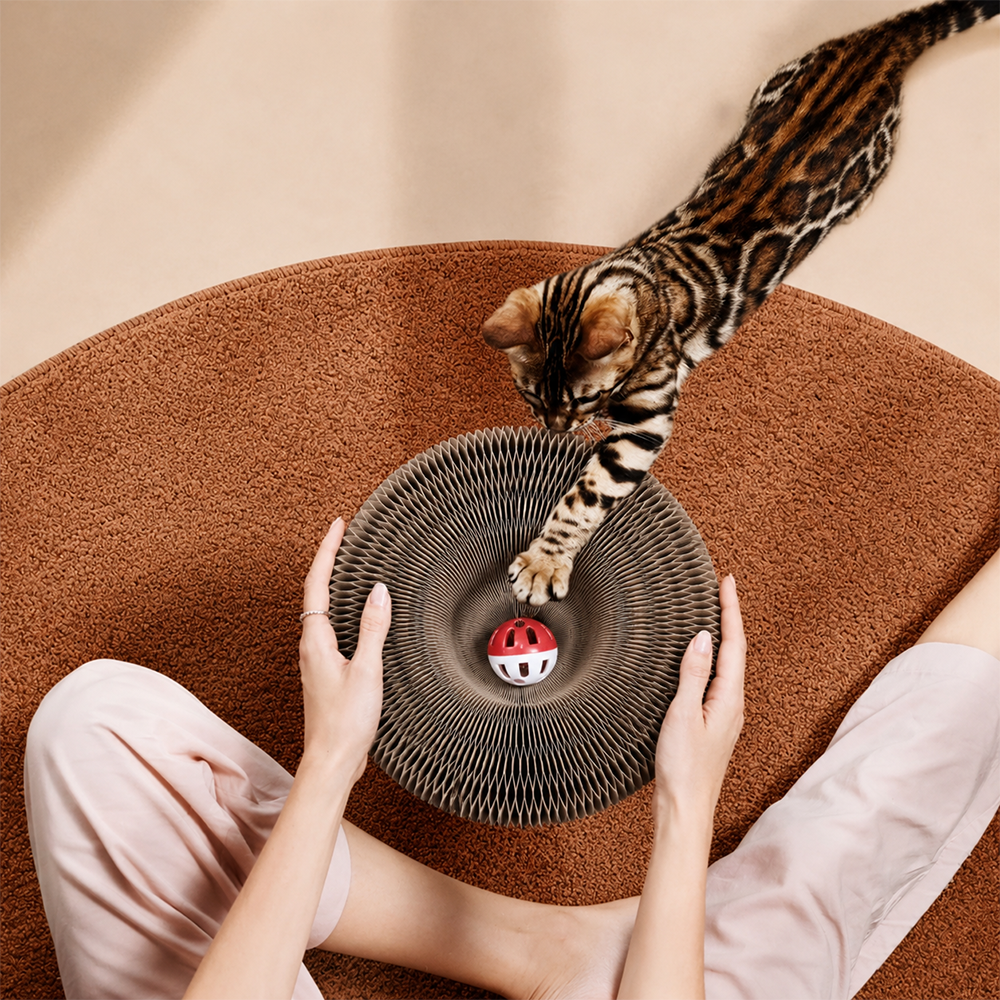 Koquena Mainan Cakaran Kucing Organ Cat Scratching Board - KQ439 Gambar produk Koquena Mainan Cakaran Kucing Organ Cat Scratching Board - KQ439 - 5