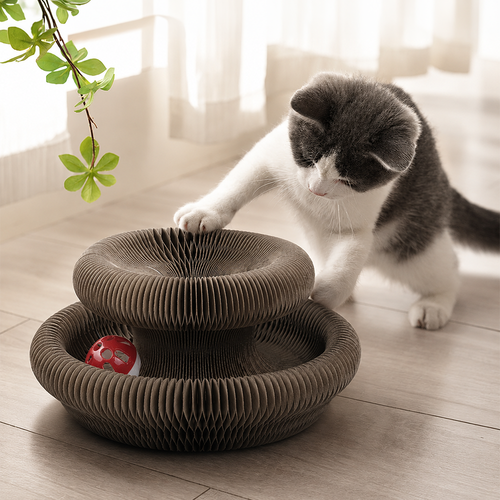 Koquena Mainan Cakaran Kucing Organ Cat Scratching Board - KQ439 Gambar produk Koquena Mainan Cakaran Kucing Organ Cat Scratching Board - KQ439 - 7