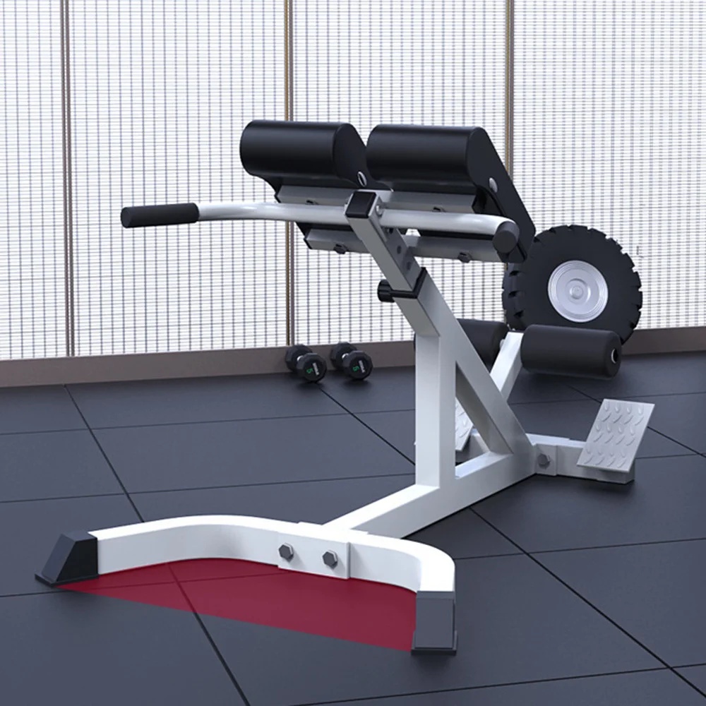 WEHAVE Alat Fitness Gym Roman Chair Hyperextension Bench Press Squat - RC002 Gambar produk WEHAVE Alat Fitness Gym Roman Chair Hyperextension Bench Press Squat - RC002 - 3