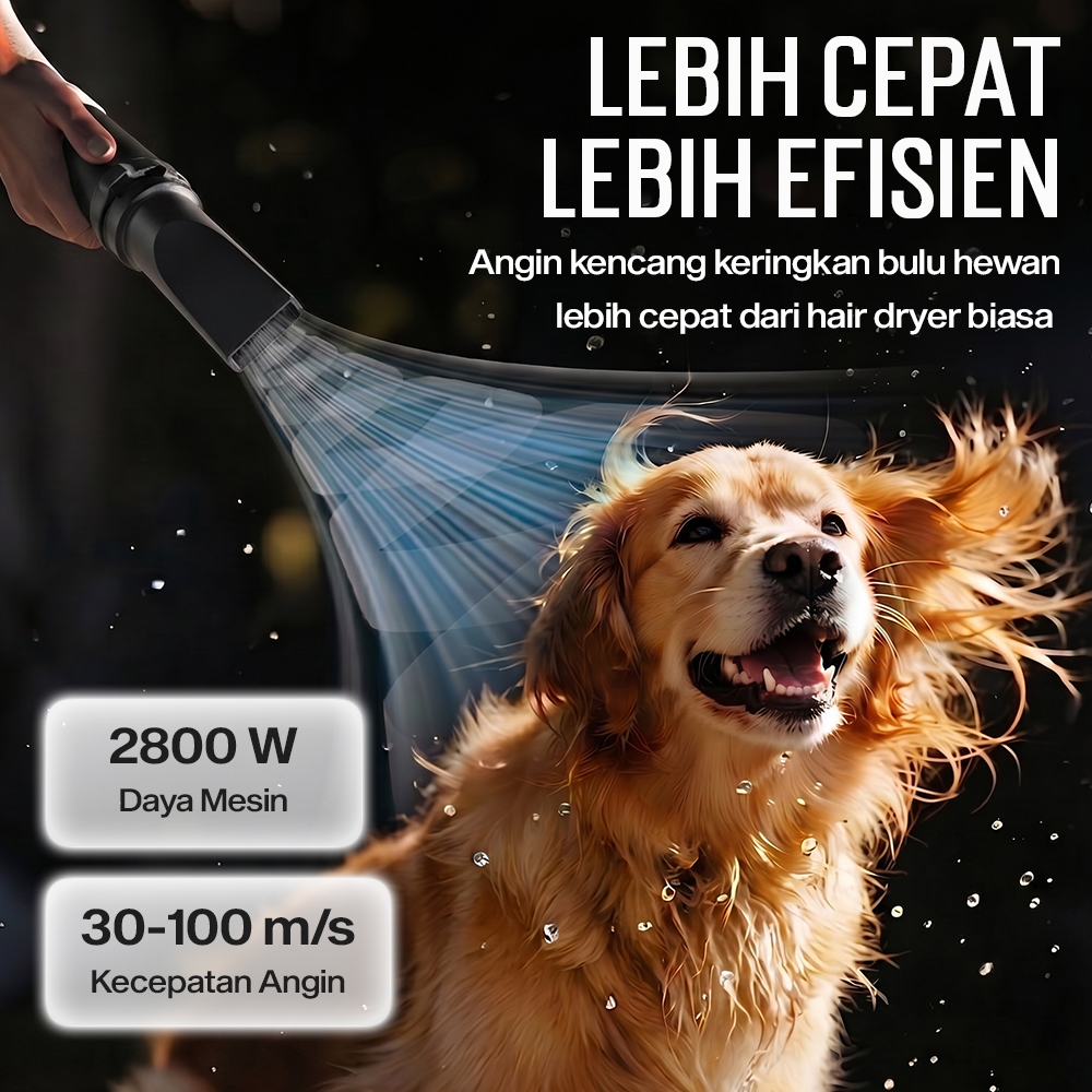 HEAN Pengering Bulu Kucing Anjing Hair Dryer for Pets Fast Blow 2800W - ZF-YC-C-04 Gambar produk HEAN Pengering Bulu Kucing Anjing Hair Dryer for Pets Fast Blow 2800W - ZF-YC-C-04 - 1