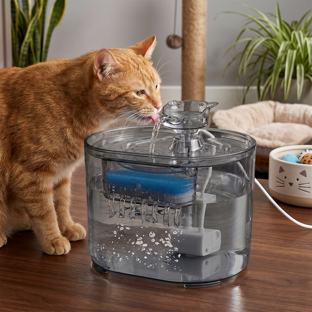 AECAT Water Dispenser Fountain 2 Mode Tempat Minum Kucing Anjing 2.2L - FT-66 Gambar produk AECAT Water Dispenser Fountain 2 Mode Tempat Minum Kucing Anjing 2.2L - FT-66 - 7