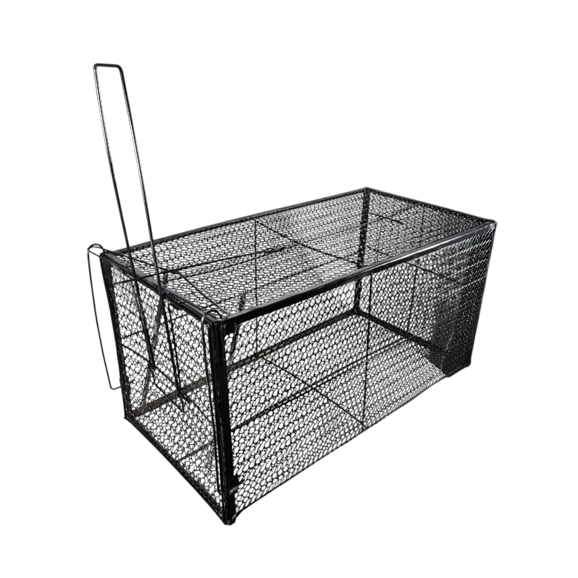 ADIWIN Jebakan Perangkap Kucing Liar Musang Otomatis Rescue Trap Cage - BK-10 Gambar produk ADIWIN Jebakan Perangkap Kucing Liar Musang Otomatis Rescue Trap Cage - BK-10 - 1