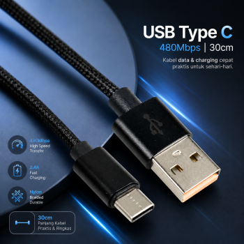 Gambar produk Dragon Line Kabel Data USB Type C Multifungsi Braided 480Mbps 30cm - AV140