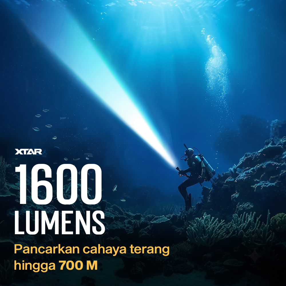 Gambar produk XTAR Senter Selam Diving Luminus Adjustable Beam Angle 1600 Lumens - D40 - 1