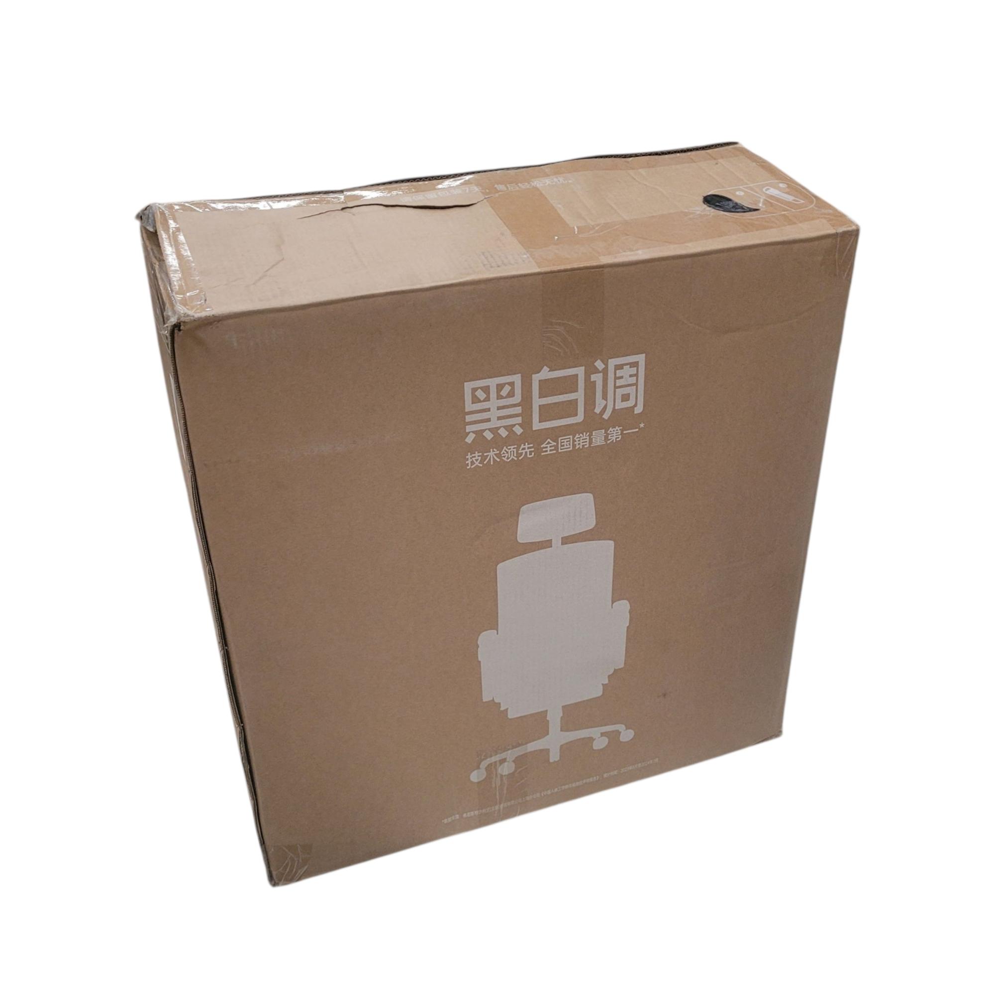 Gambar produk HBADA P5 Pro Kursi Kantor Chair 2D Lumbar Support Fixed Armrest - P302 - Kemasan