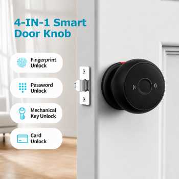 Viladev Smart Door Lock Fingerprint Card Password Ball Shaped - Q2