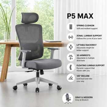 HBADA P5 Max Kursi Kantor Chair 2D Lumbar Support Lifting Armrest - P302
