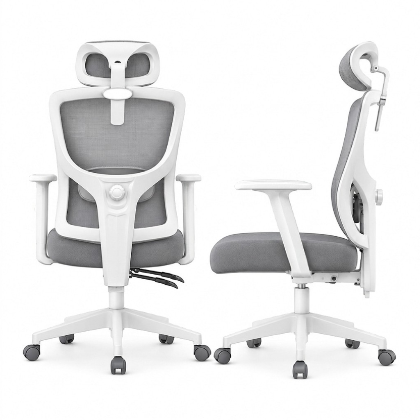 Gambar produk HBADA P5 Pro Kursi Kantor Chair 2D Lumbar Support Fixed Armrest - P302 - 3