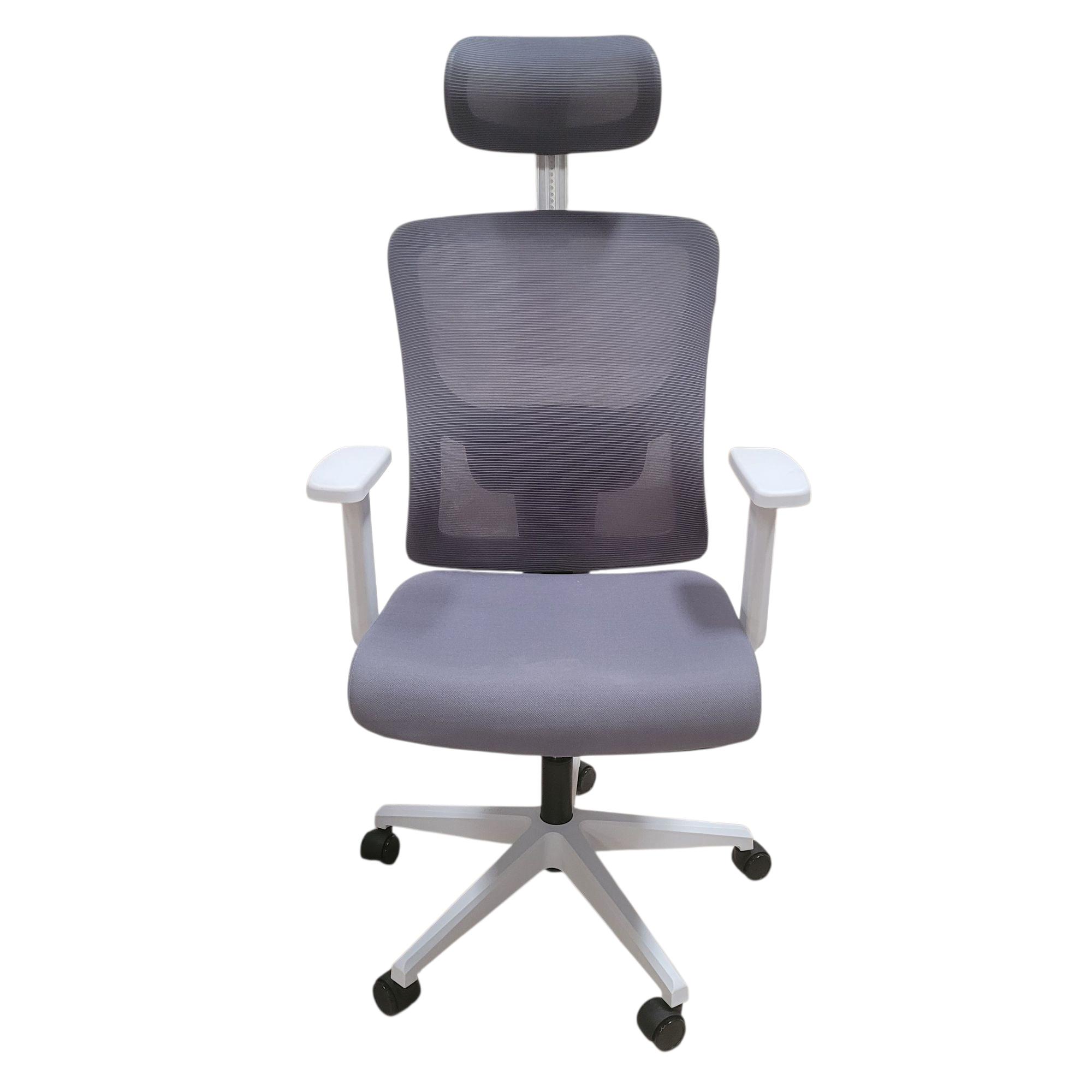 Gambar produk HBADA P5 Pro Kursi Kantor Chair 2D Lumbar Support Fixed Armrest - P302 - 4