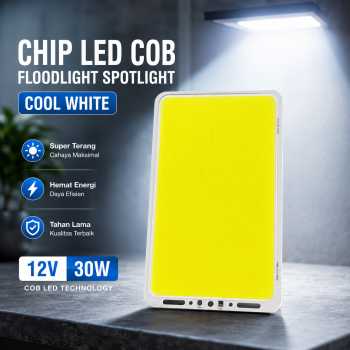 TaffLED Chip LED Lampu COB Floodlight Spotlight Cool White 12V 30W - COB0484-DC12-30