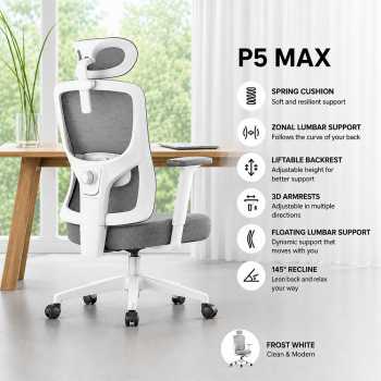 HBADA Kursi Kantor Office Chair 2D Lumbar Support Lifting Armrest - P5-Max