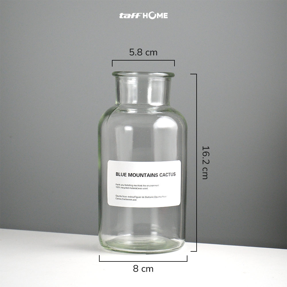 Gambar produk TaffHOME Vas Bunga Botol Kaca Aesthetic Bottle Vase Flower Pot 500ml - EN549 - 8