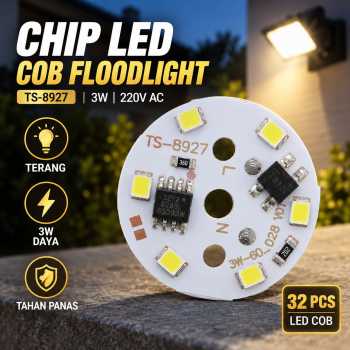 Ovi Chip LED Lampu COB Floodlight Spotlight Cool White 220V 3W 32 PCS - TS-8920